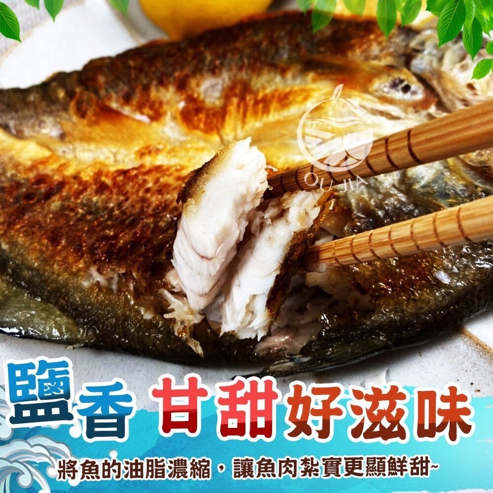 午仔魚一夜干/無調味三去午仔魚《台灣最好吃的魚》
