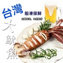 台灣生凍大魷魚170-200g《快速出貨》
