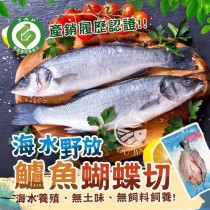 台灣海鱸魚550g全魚蝴蝶切《超殺最低每尾只要$283》